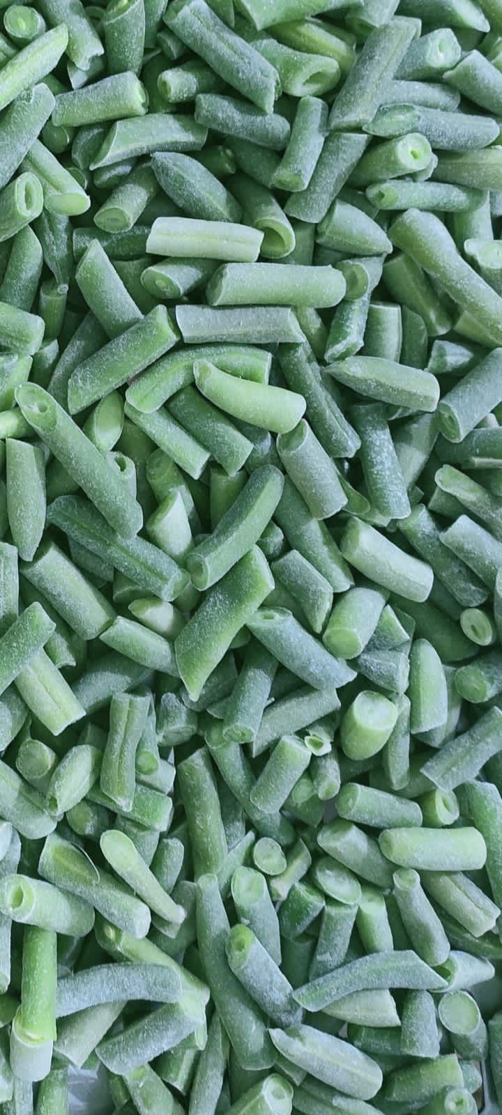 IQF Cut Green Beans - Fine Variety, 100% Natural