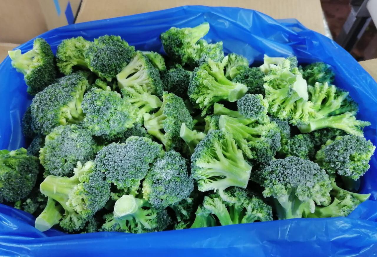 IQF Broccoli Florets - Whole, Grade A, 40-60mm