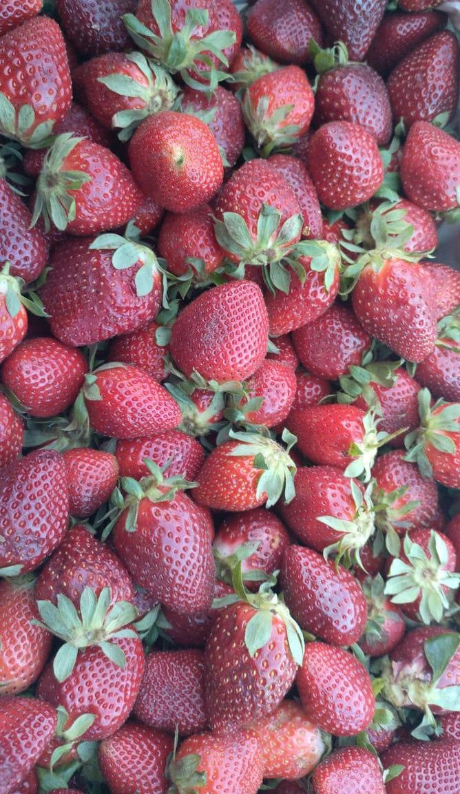 IQF Strawberries - 100% Pure, No Additives